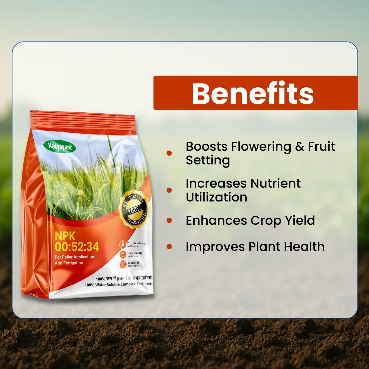 GGV NPK 00 - 52 - 34 All Purpose Fertilizer Powder