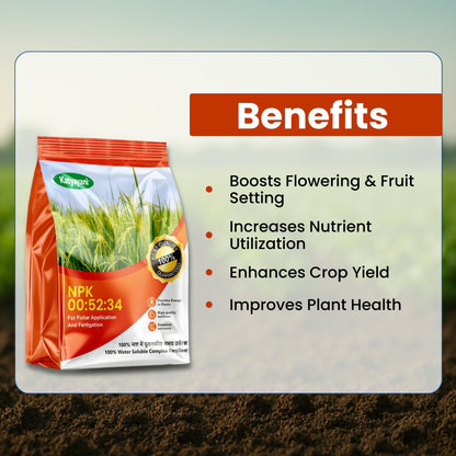 GGV NPK 00 - 52 - 34 All Purpose Fertilizer Powder