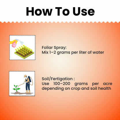 GGV NPK 00 - 52 - 34 All Purpose Fertilizer Powder