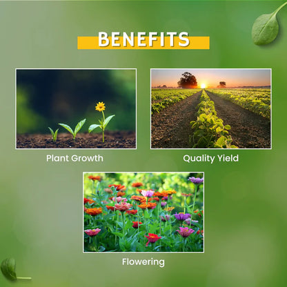 GGV Boron 20% (EDTA) Micronutrient Fertilizer