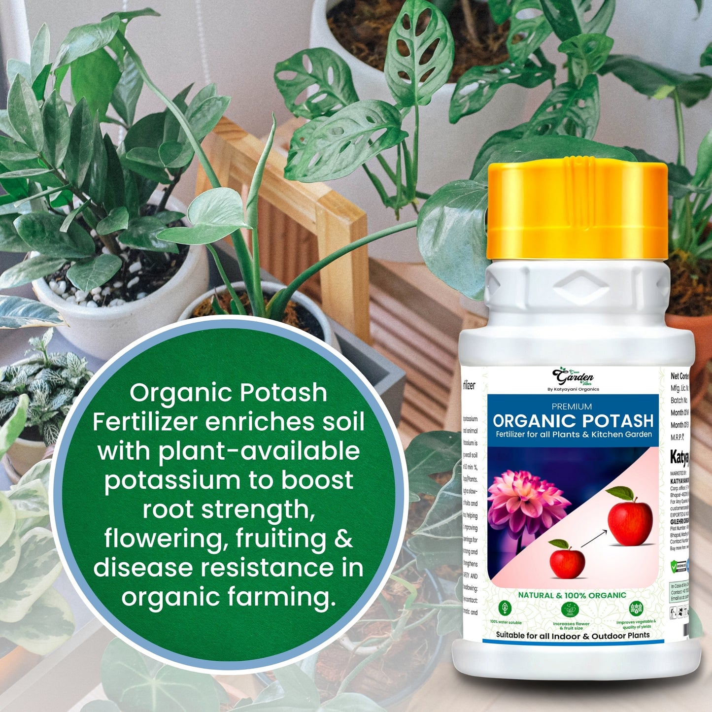 GGV ORGANICS  Premium Rock Phosphate (Boost Root Growth & Flowering)