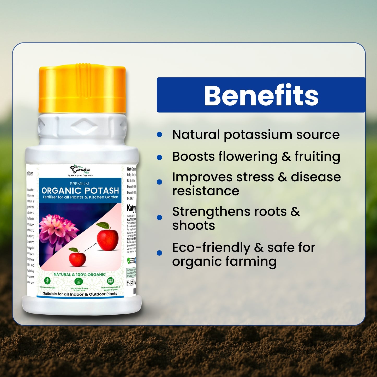 GGV ORGANICS  Premium Rock Phosphate (Boost Root Growth & Flowering)