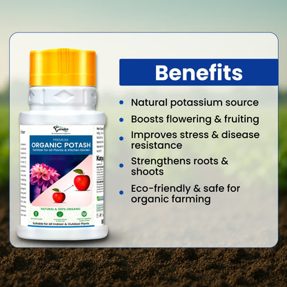 GGV ORGANICS  Premium Rock Phosphate (Boost Root Growth & Flowering)