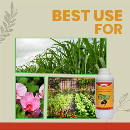 GGV Phosphate Solubilizing Bacteria Bio fertilizer