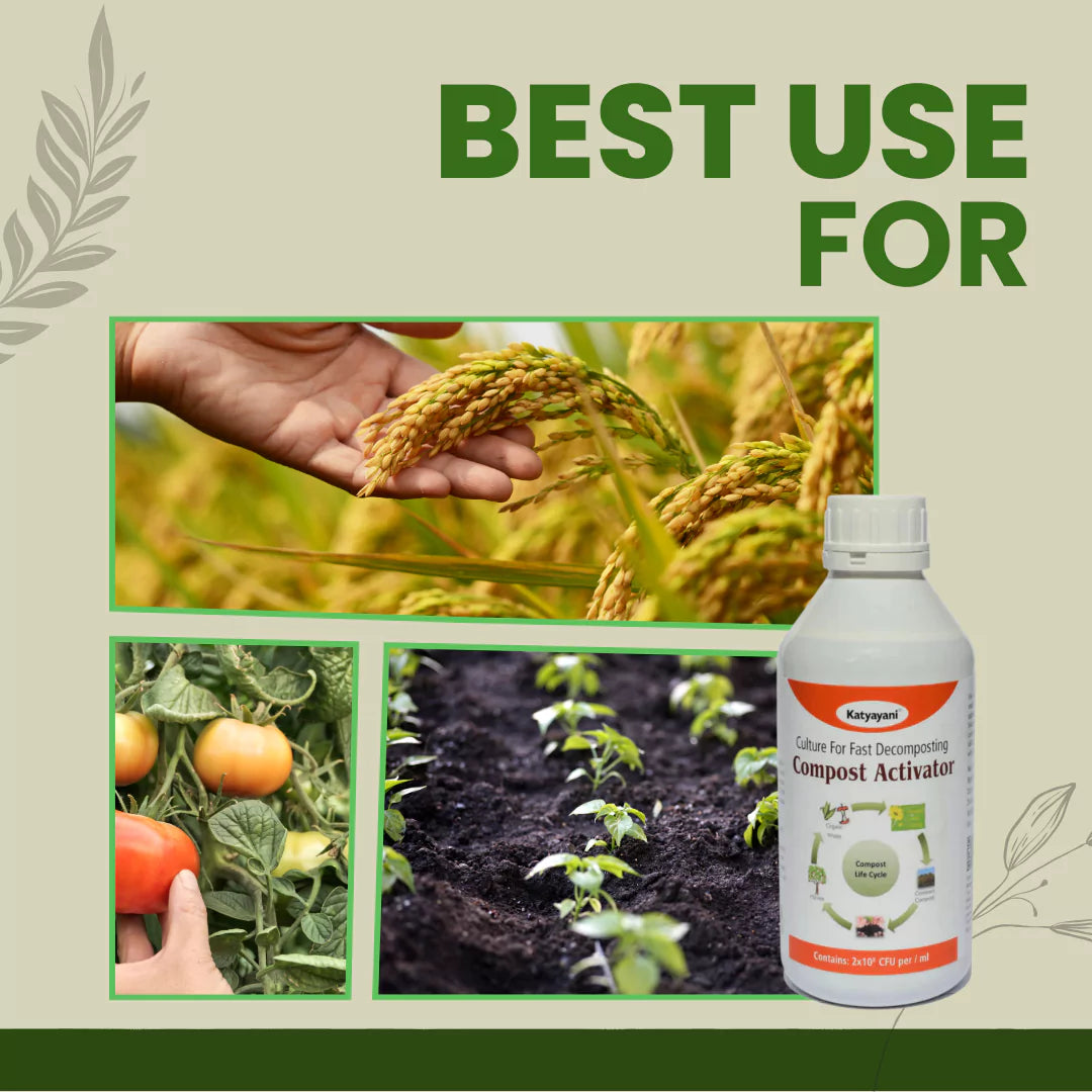 GGV Compost Activator Bio Decomposing Culture