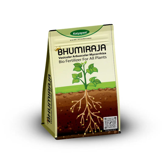 GGV KATYAYANI BHUMIRAJA | MYCORRHIZA | BIO FERTILIZER
