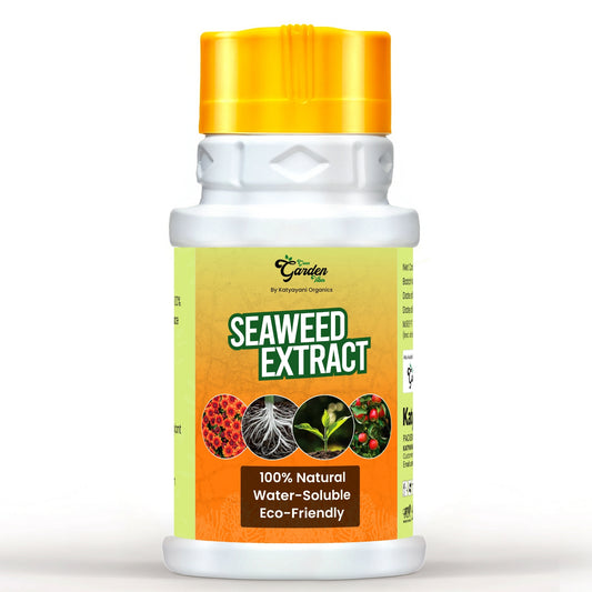 GGV Organic Powder Seaweed Fertilizer