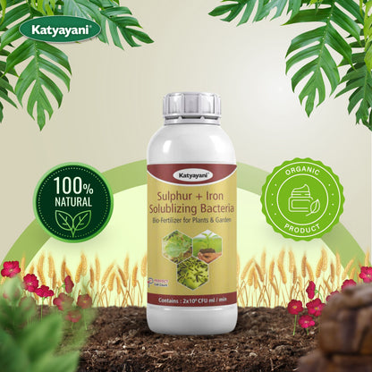 Sulphur + Iron Solubilising Bio Fertilizer