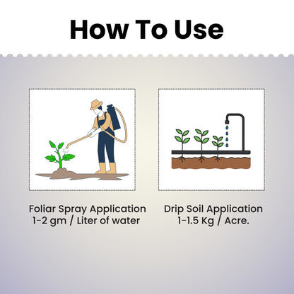 GGV Iron EDTA || Fe 12% EDTA