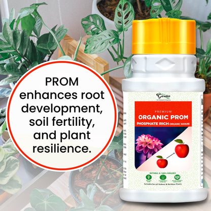 GGV Prom organic fertilizer