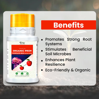 GGV Prom organic fertilizer