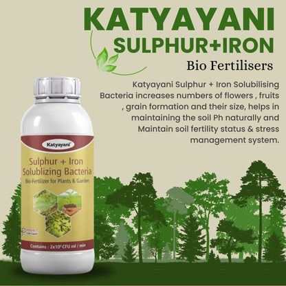 Sulphur + Iron Solubilising Bio Fertilizer