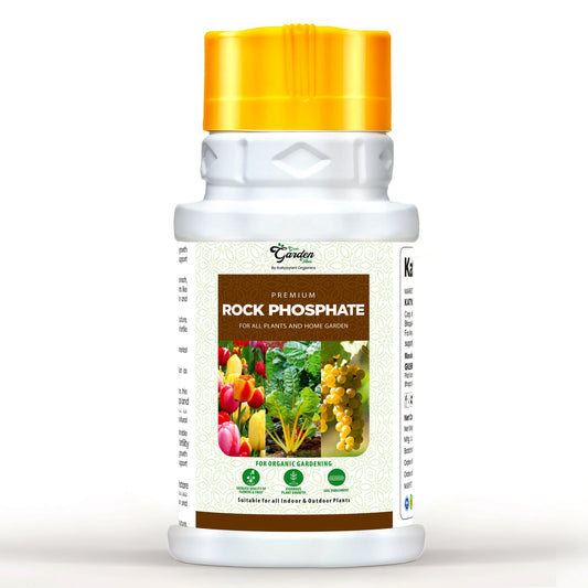 GGV ORGANICS  Premium Rock Phosphate (Boost Root Growth & Flowering)