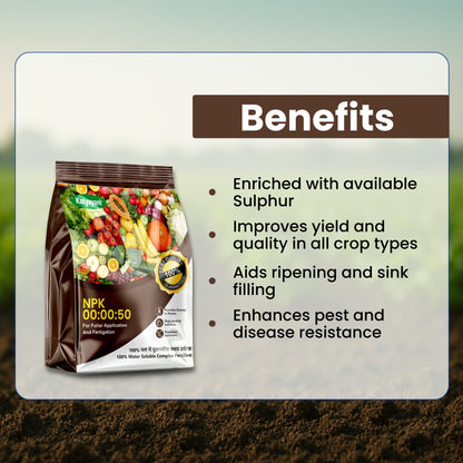 GGV NPK 00 : 00 : 50 for Plant and Garden