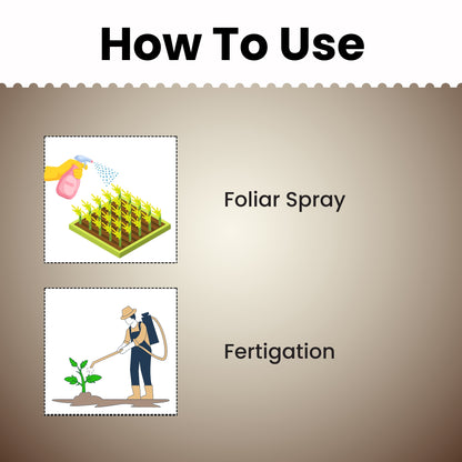 GGV NPK 00 : 00 : 50 for Plant and Garden