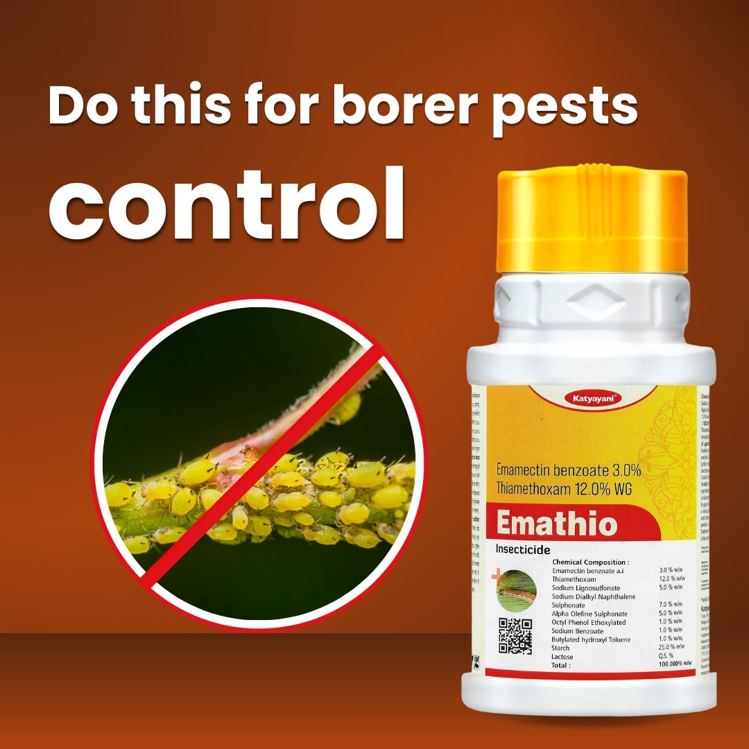 GGV KATYAYANI EMATHIO | EMAMECTIN BENZOATE 3% + THIAMETHOXAM 12% WG | CHEMICAL INSECTICIDE 100gm