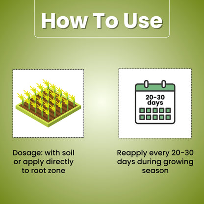 Katyayani K-RAJA | Mycorrhizal Biofertilizer | 100% Water Soluble