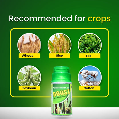 GGV Katyayani Boost | Propiconazole 25% EC | Chemical Fungicide