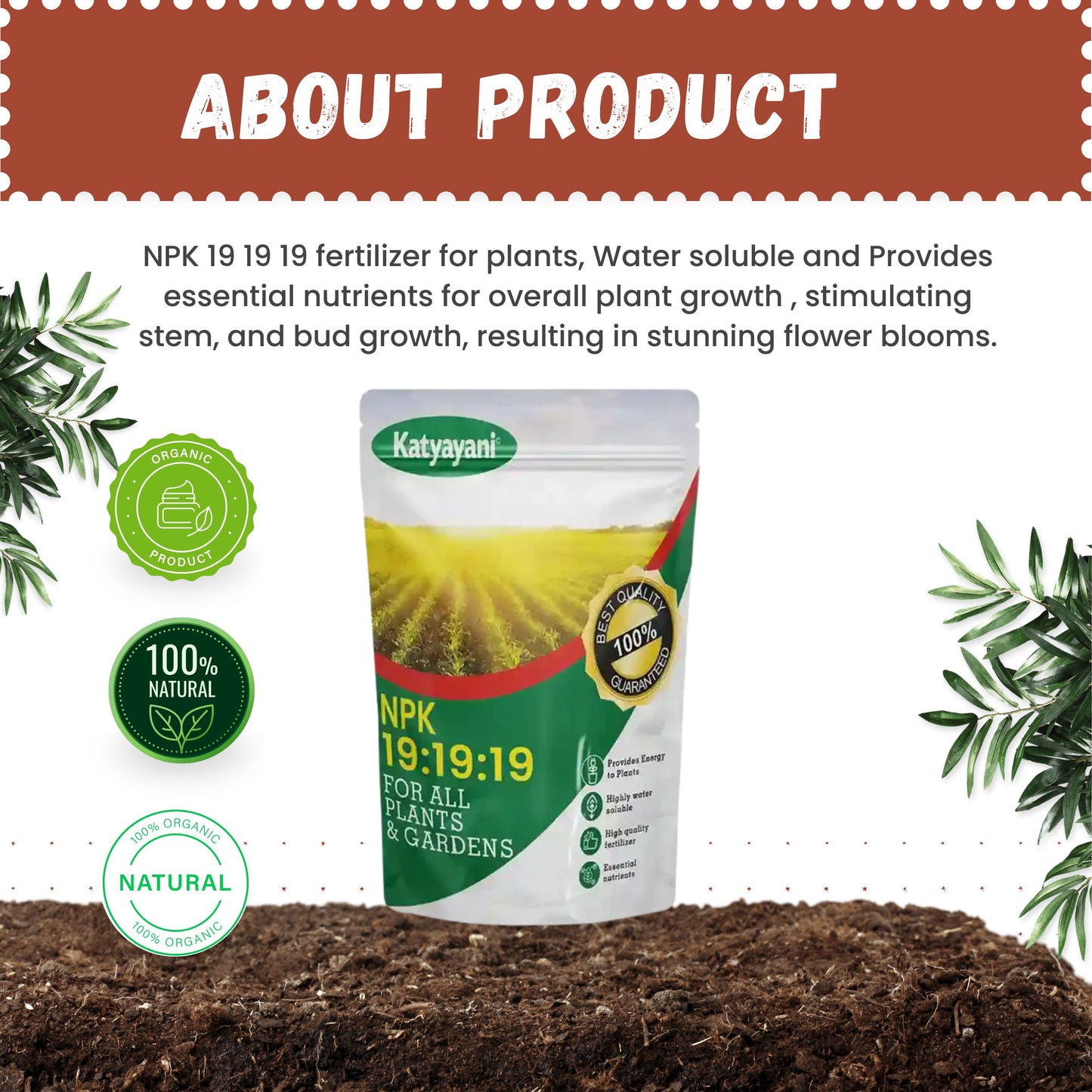 GGV NPK 19 19 19 100% Water Soluble Plant Food Fertilizer