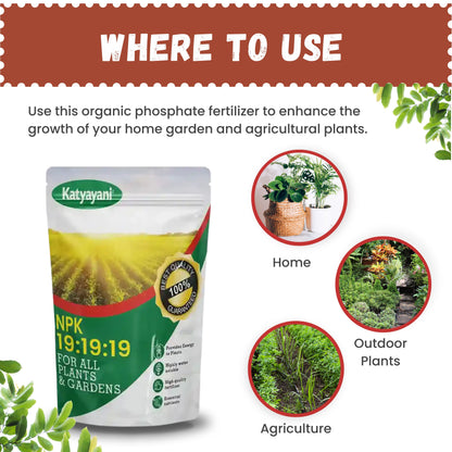GGV NPK 19 19 19 100% Water Soluble Plant Food Fertilizer