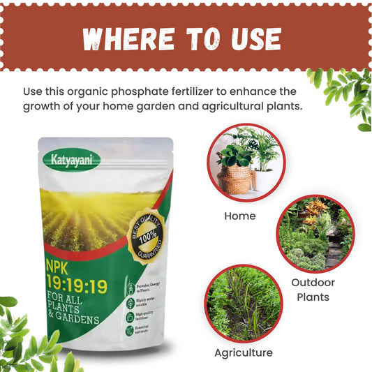 GGV NPK 19 19 19 100% Water Soluble Plant Food Fertilizer