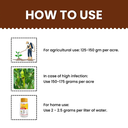 GGV KATYAYANI EMATHIO | EMAMECTIN BENZOATE 3% + THIAMETHOXAM 12% WG | CHEMICAL INSECTICIDE 100gm
