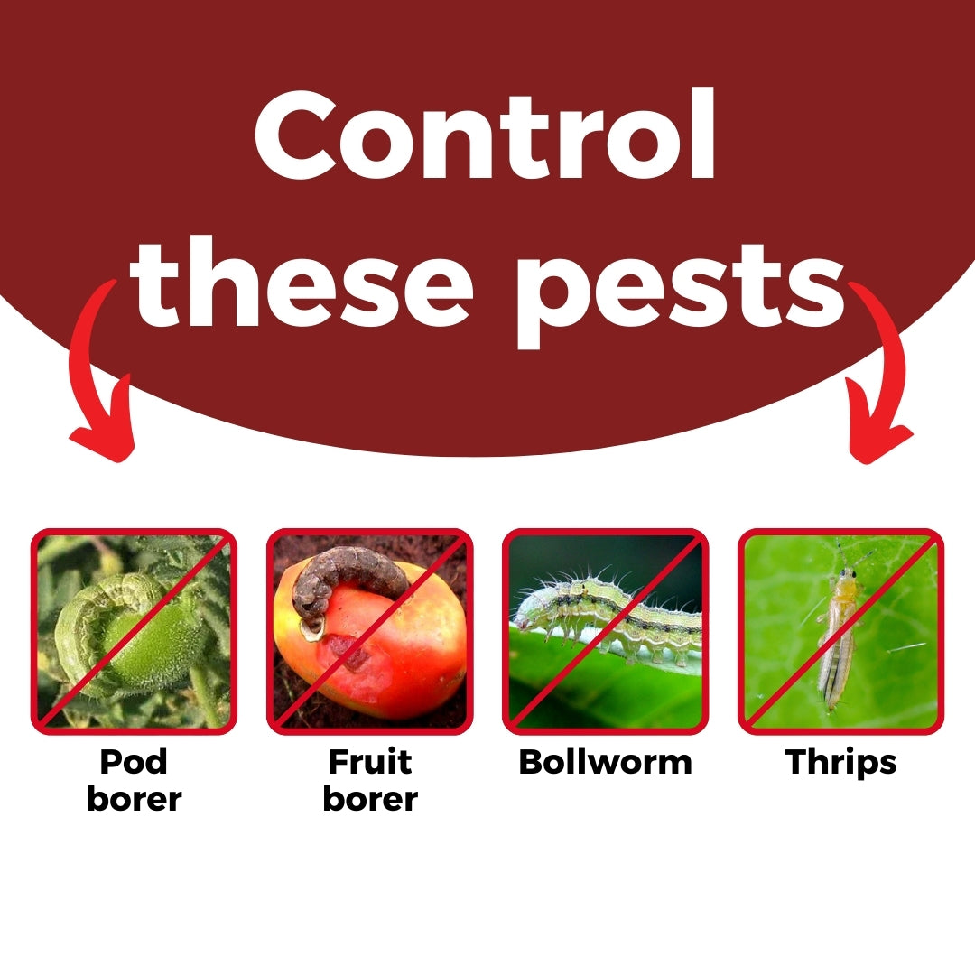 Katyayani EMA 5 | Emamectin Benzoate 5% SG Insecticide for Thrips, Pod borer, Fruit & Shoot Borer