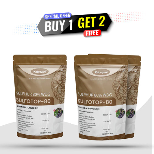 Katyayani Sulfotop 80 – Sulphur 80% WDG 🎁 Buy 1 Get 2 Free