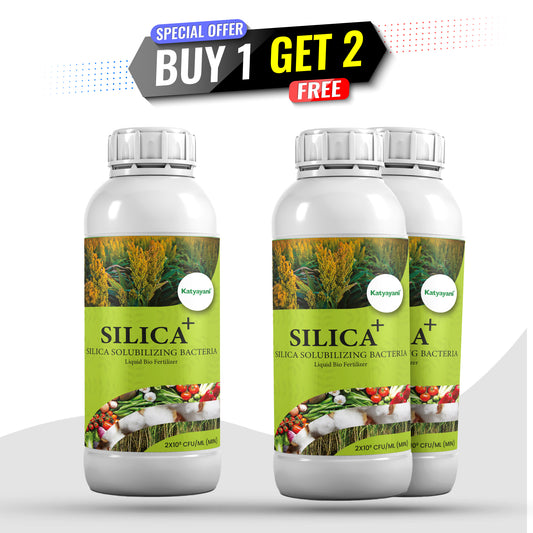 GGV Silica – Silica Solubilizing Bacteria Liquid Biofertilizer  🌱Buy 1 Get 2 Free
