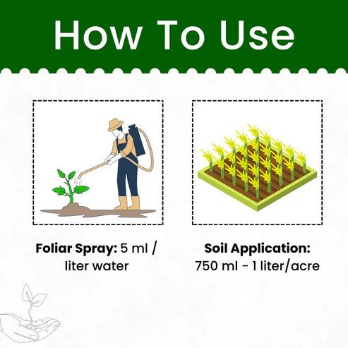GGV Beauveria Bassiana Bio Insecticide Powder (Protect Plants from Insects Naturally)