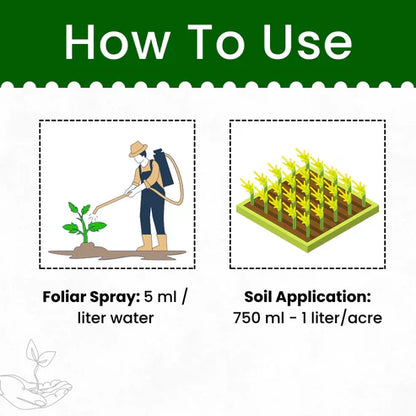 GGV Beauveria Bassiana Bio Insecticide Powder (Protect Plants from Insects Naturally)