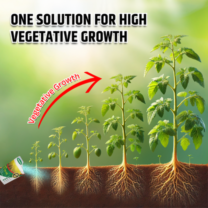 GGV NPK 19 19 19 100% Water Soluble Plant Food Fertilizer
