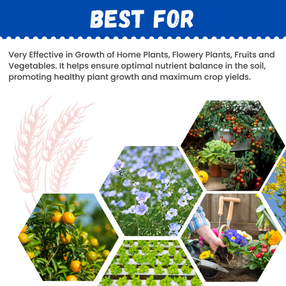 Katyayani NPK 12:61:00 Water Soluble Fertilizer 🔥 Buy 1 Get 2 Free – Limited Time Offer!
