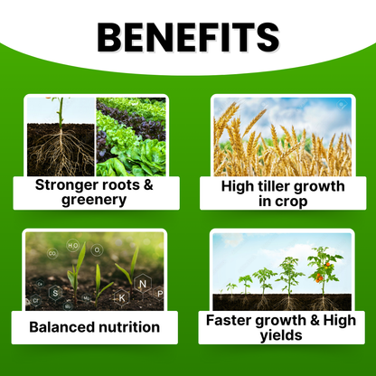 GGV NPK 19 19 19 100% Water Soluble Plant Food Fertilizer