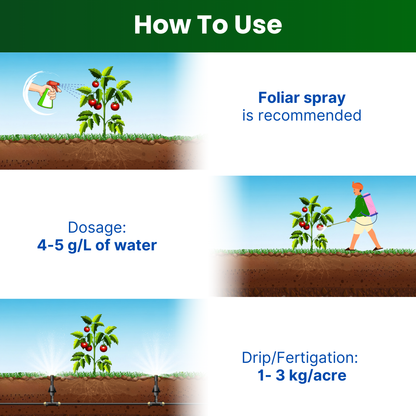 GGV NPK 19 19 19 100% Water Soluble Plant Food Fertilizer