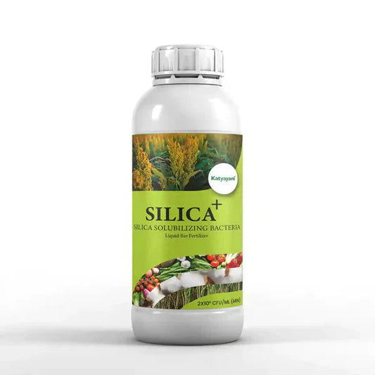 GGV SILICA + | SILICA SOLUBILIZING BACTERIA | LIQUID BIOFERTILIZER