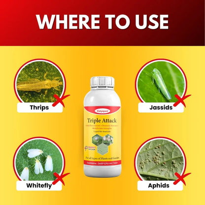 Katyayani Triple Attack – Organic Biological Insecticide for Fungal & Pest Control (Buy 1 Get 2 Free Offer – Limited Time Only!)