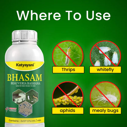 GGV Beauveria Bassiana Bio Insecticide Powder (Protect Plants from Insects Naturally)