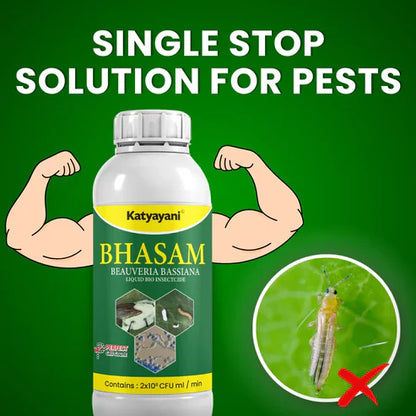 GGV Beauveria Bassiana Bio Insecticide Powder (Protect Plants from Insects Naturally)