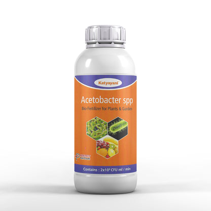 GGV Acetobacter Nitrogen Fixing -Bio fertilizer