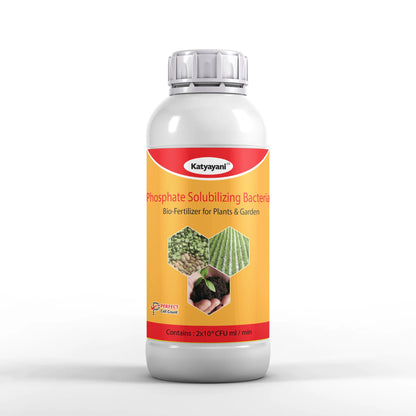 GGV Phosphate Solubilizing Bacteria Bio fertilizer