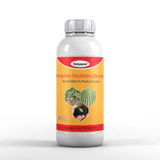 GGV Phosphate Solubilizing Bacteria Bio fertilizer