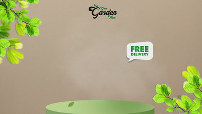 GGV Vitamin C-Cosmetic Grade