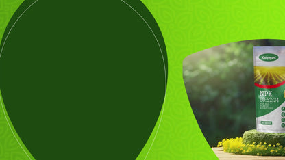 GGV NPK 00 - 52 - 34 All Purpose Fertilizer Powder
