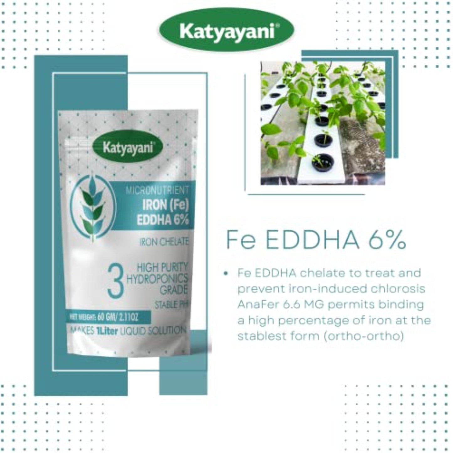 GGV Fe EDDHA ( Iron Chelate ) Micronutrient
