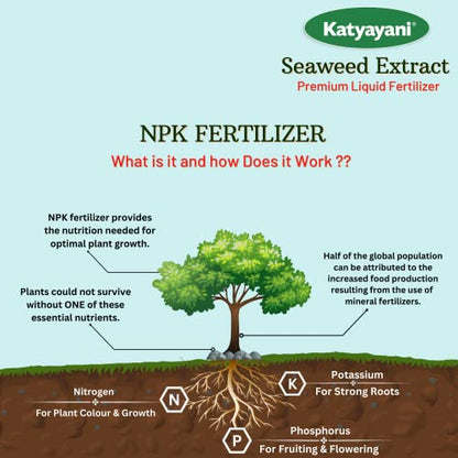 GGV Organic Liquid Seaweed Fertilizer